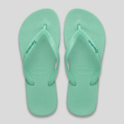 local_40169__color_aqua