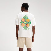 local_37207__color_off-white