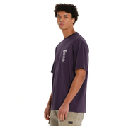 local_36379__color_grape-purple