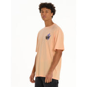 local_36743__color_peach