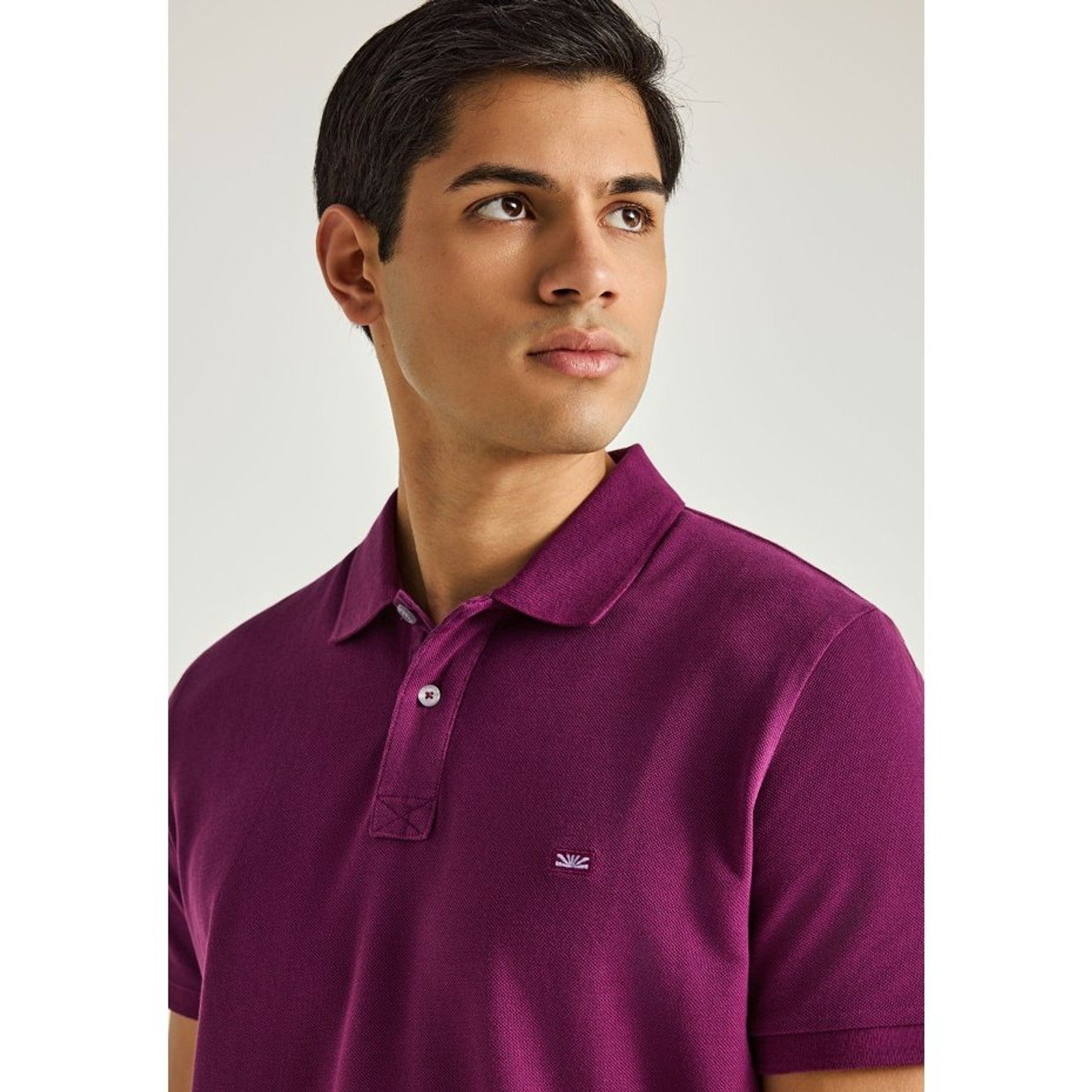 local_36512__color_grape-purple