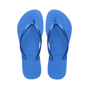 local_40071__color_blue