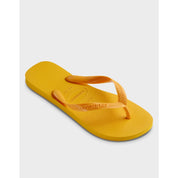 local_39840__color_yellow