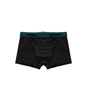 local_42450__color_black-pine