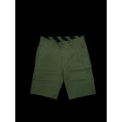 local_17008__color_green