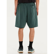 local_17954__color_dark-green