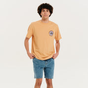 local_11332__color_peach