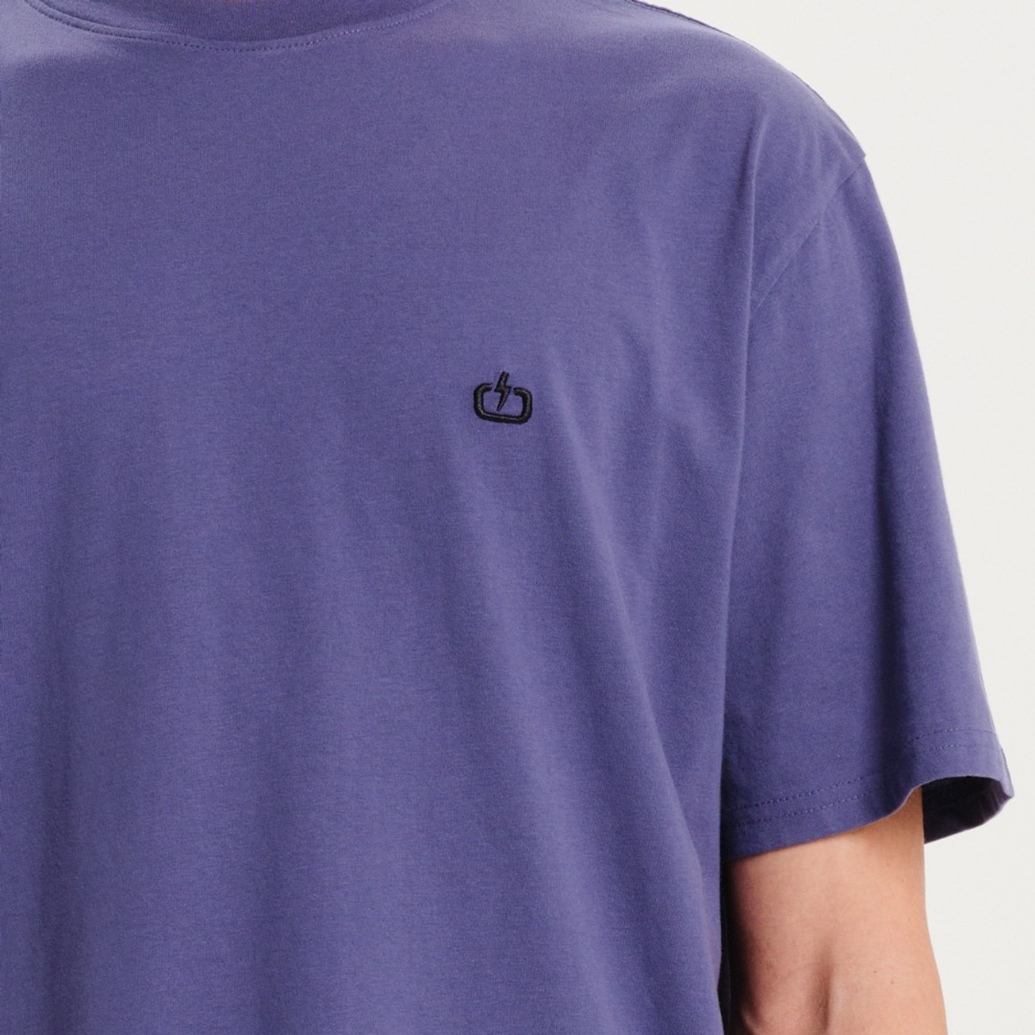 local_10960__color_purple