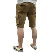 local_15168__color_mud-brown