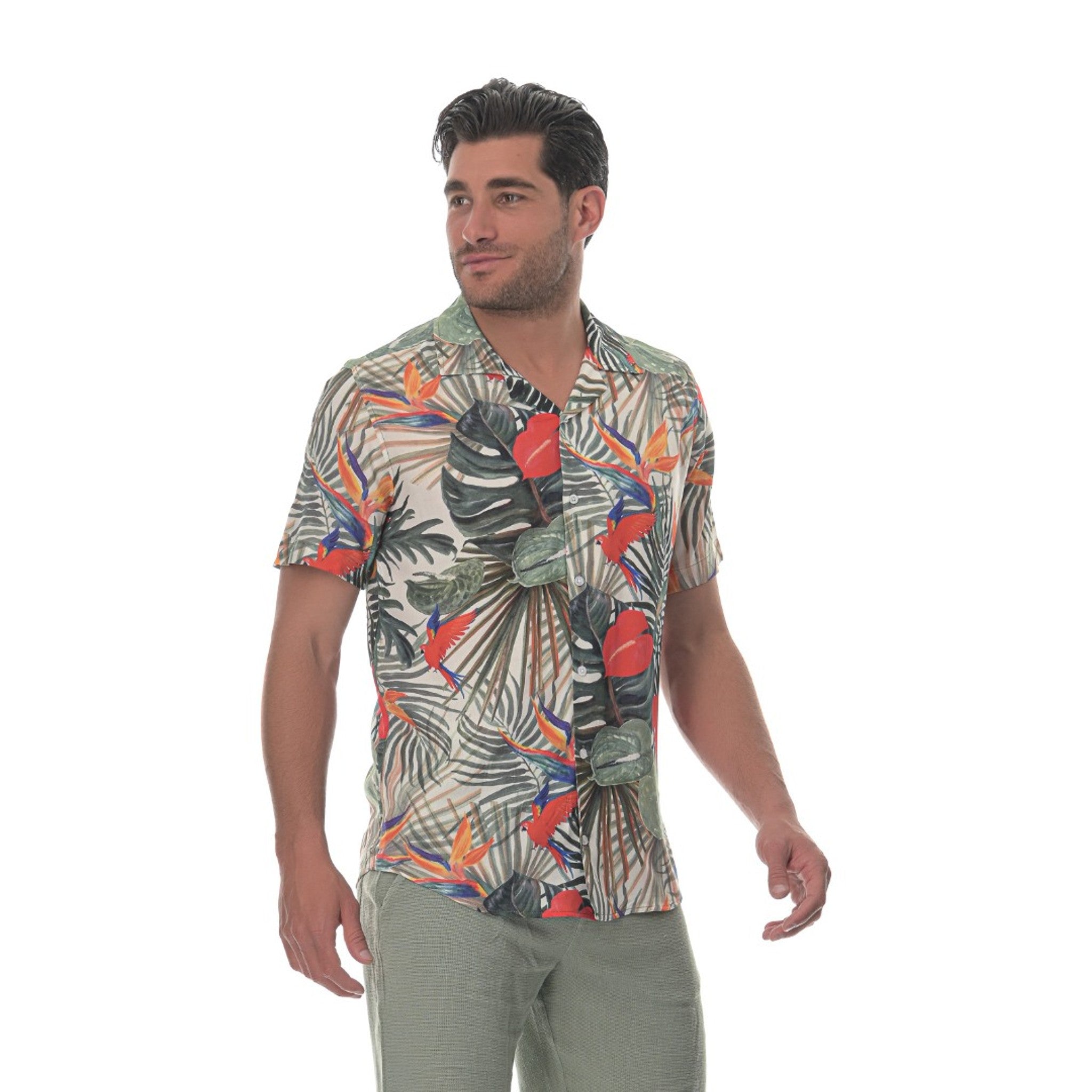 local_17333__color_floral-multi