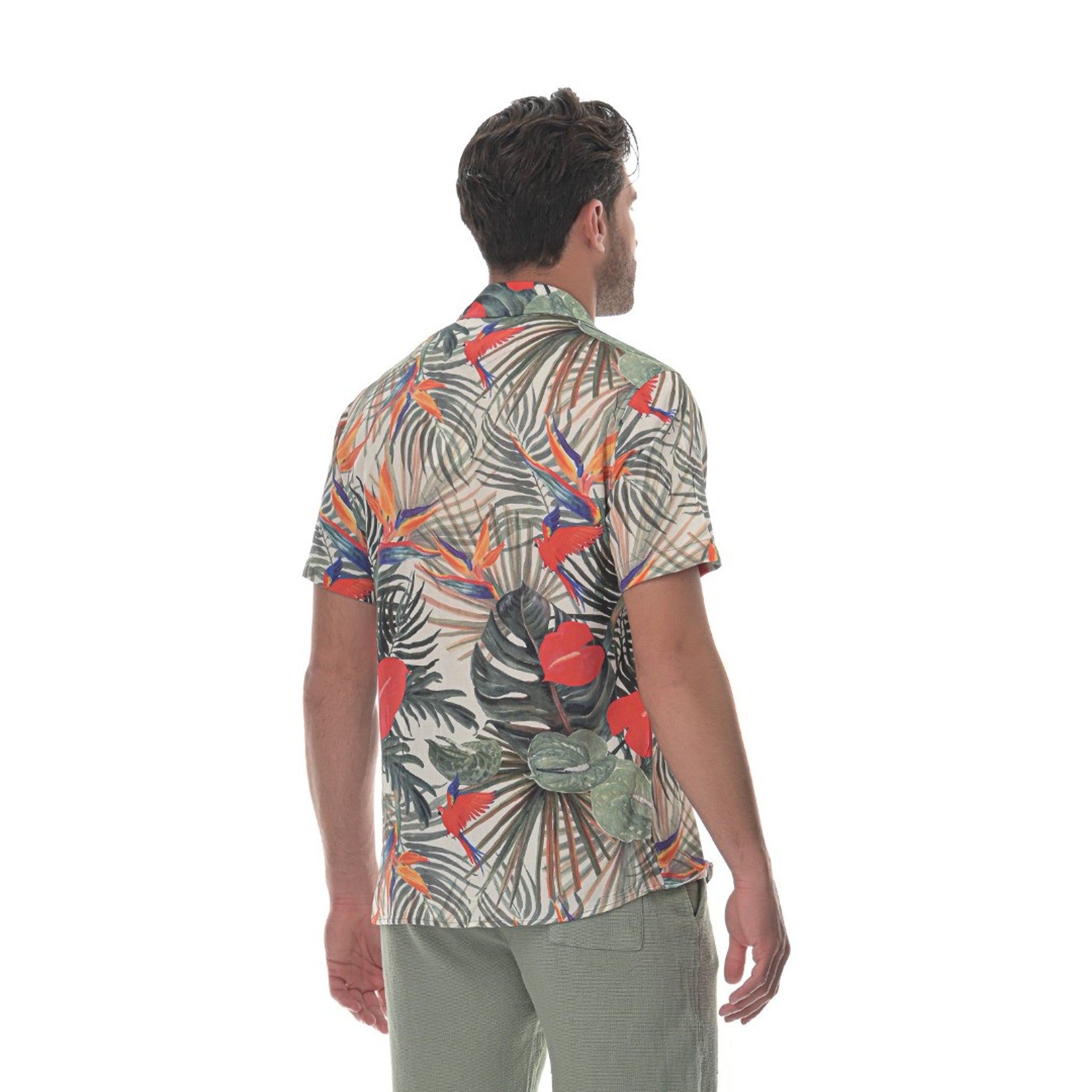 local_17334__color_floral-multi